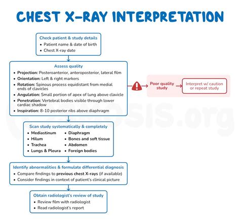 Image result for Chest X-Ray Tutorial