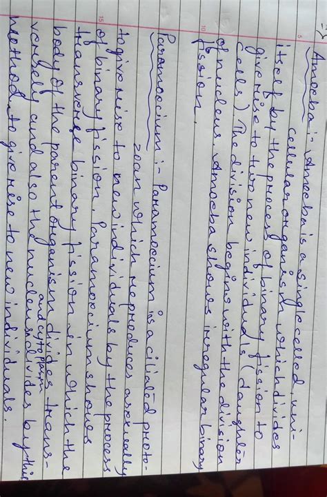 binary fission in amoeba and paramecium and euglena - Brainly.in