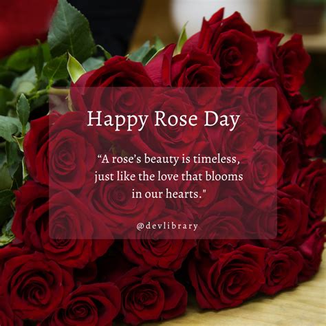 15 Heartfelt Rose Day Wishes: Quotes, Images, Status, Wallpapers ...