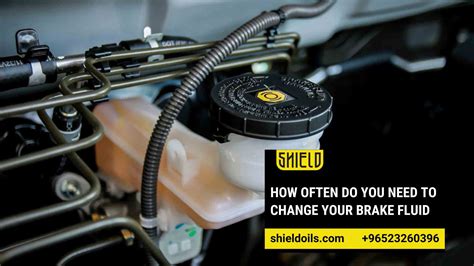Brake Fluid Change Cost