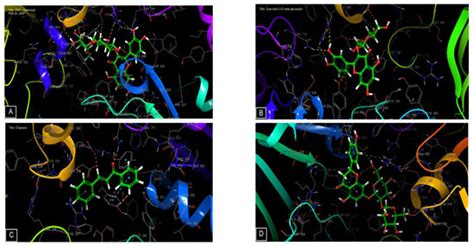 Processes | Special Issue : Plant Bioactive Compounds: Extraction ...