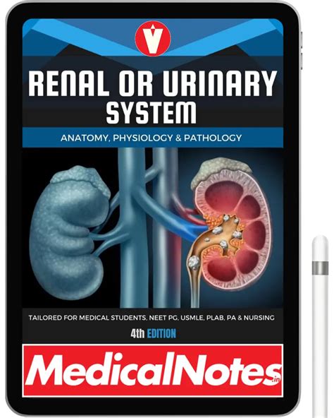 Medical Notes