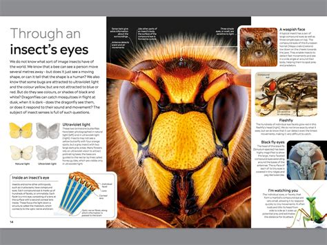 Image result for Insect Reproduction Books