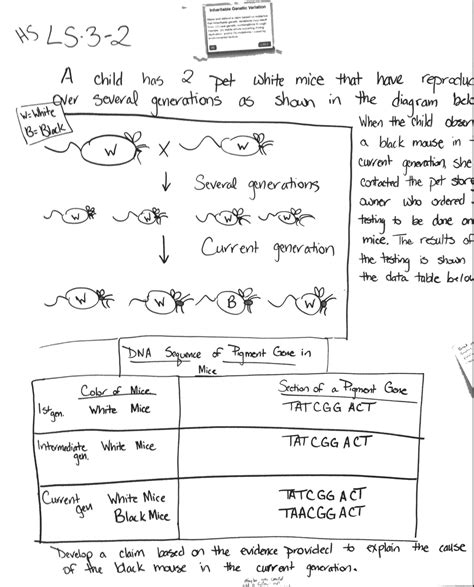 Image result for Mouse Genetics