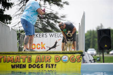 Dogs compete in lure chasing, jumping competitions at annual Paws in ...