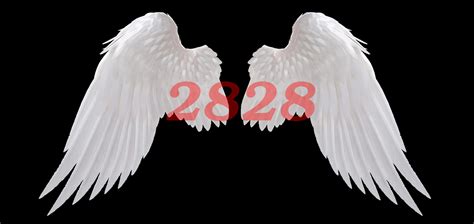 What Does It Mean To See The 2828 Angel Number? - TheReadingTub