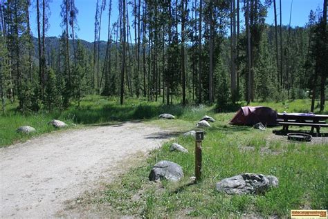 Mountain View Campground Dixfield Maine: Camping & Nature Escape