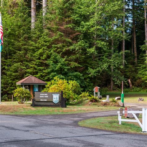 BOGACHIEL STATE PARK (2024) All You Need to Know BEFORE You Go (with ...