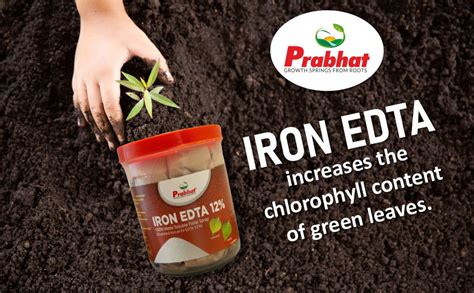 Prabhat Iron Fertilizer for Plants, Water Soluble Iron Supplement for ...