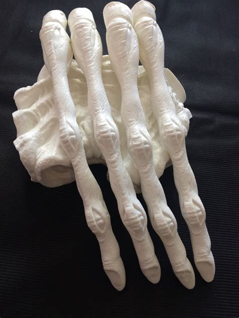 Alien 3 Queen 的图像结果