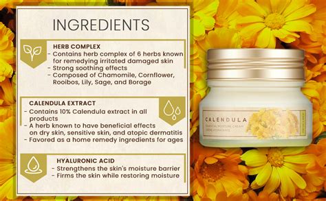 The Face Shop Calendula Essential Soothing and Moisturizing Cream for ...