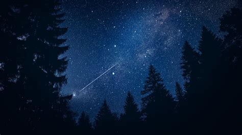 Image result for IndexedDB Example with an Array in HTML