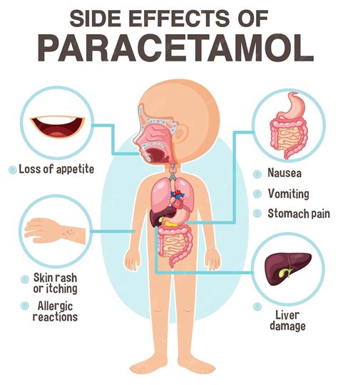 Premium Vector | Human anatomy diagram cartoon style of paracetamol side effects