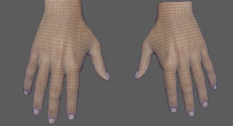 Image result for Unity VR Hand Model Free