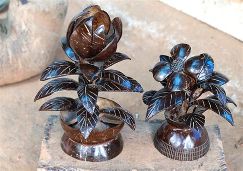 Image result for Coconut Shell Design