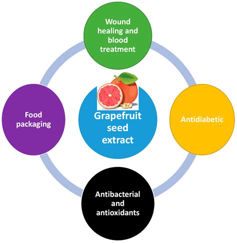 Grapefruit Seed Extract Menstrual Cycle at Juliana Stclair blog