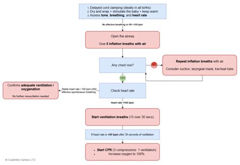 Image result for NLS Algorithm