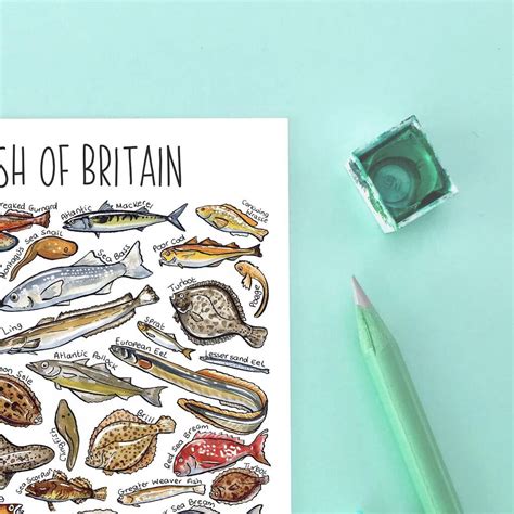 Sea Fish Of Britain Watercolour Postcard By Alexia Claire