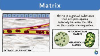 Matrix Definition 的图像结果