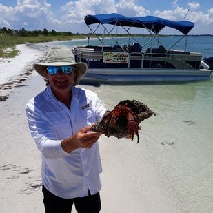 Boat Tours To Shell Key | Island Ferry St Pete