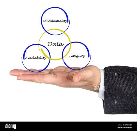 Data Management Core Principles 的图像结果