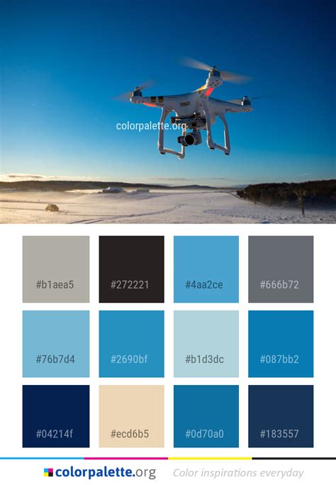 Co-Pilot Color Scheme 的图像结果
