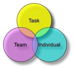 Functional Leadership Model 的图像结果