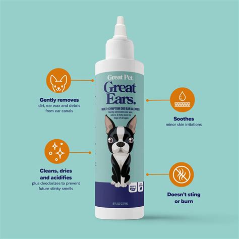 A Better Way To Clean Your Ears Of A Dog