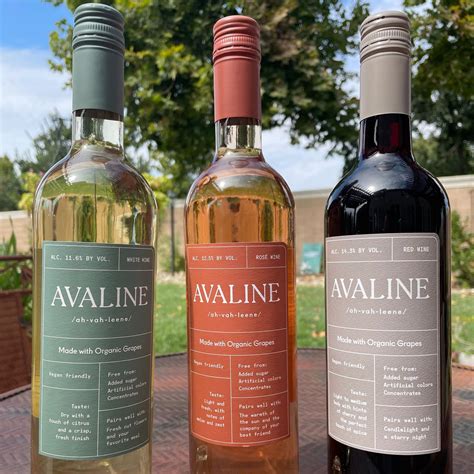 The best sustainable wine brands – Artofit