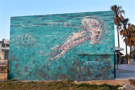 Majorca or Mallorca? The Most FAQ Answered for Your First Visit