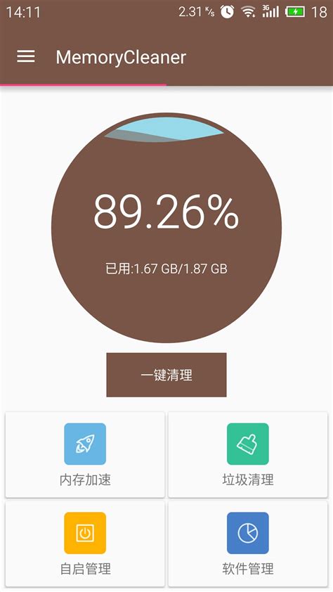 Clean Memory Stick 的图像结果