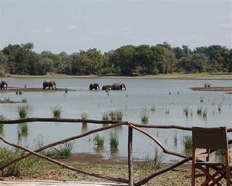 NJOBVU SAFARI (Kakumbi) - B&B Reviews, Photos, Rate Comparison ...