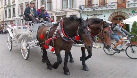 Europe In March 2025: Best Places To Visit & Things To Do