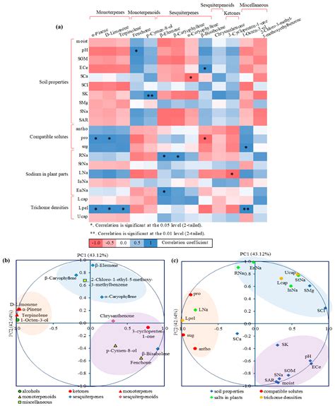 Salinity-Induced VOC Modulation and Physiological Adaptations in ...