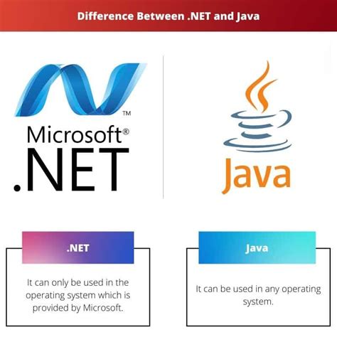Image result for What Is the Difference Between Java and .Net