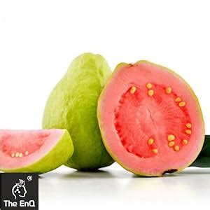 The EnQ Intimate Skin Lightening Serum (50 ML) 98% Organic 100% Natural ...