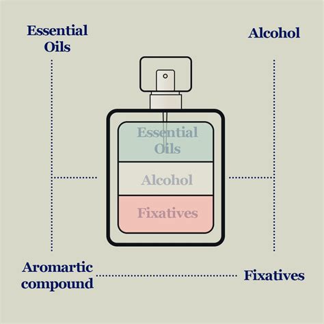 What Is Perfume? A Beginner’s Guide to Fragrance Basics ...