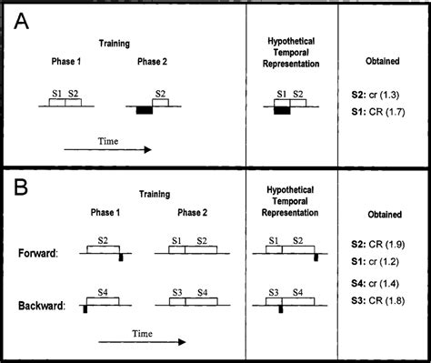 Image result for Backward Conditioning Example
