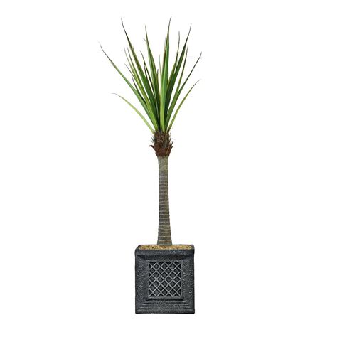 Vintage Home 78-in Grey Lattice Agave Artificial Plant in the ...
