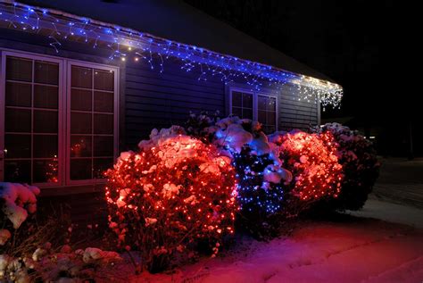 Christmas Lights In Bushes at Charles Lindquist blog