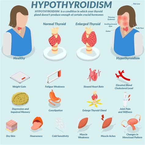 Hypothyroidism Blood Test Range