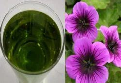 Essential Oils and Fragrance Oil Manufacturer | Aethon International ...