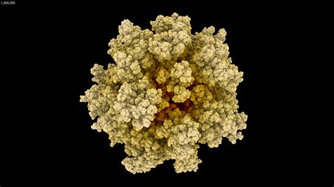 Image result for Machine Learning Diffusion-Limited Agregation