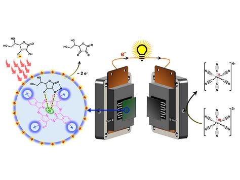 Publications - Electrified Interface Group, IISER Pune