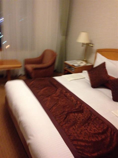 HOTEL OKURA NIIGATA - Hotel Reviews, Photos, Rate Comparison - Tripadvisor