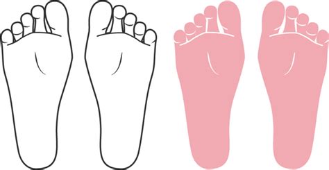 Image result for Body Control Module Function
