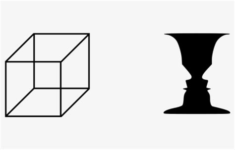 Perception Transparent Background Image 的图像结果