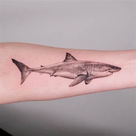 Great White Shark Tattoo Designs