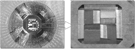 Image result for IC Probe Test