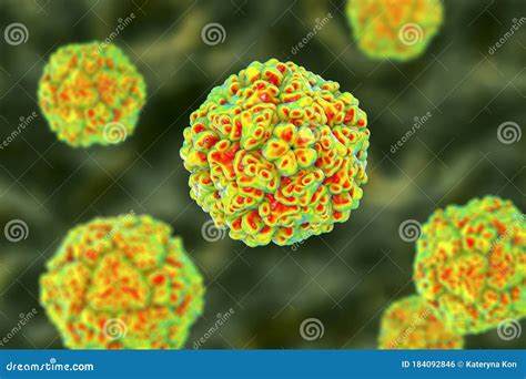 Enteroviruses, A Group Of RNA-viruses Including Echoviruses, Coxsackieviruses, Rhinoviruses And ...
